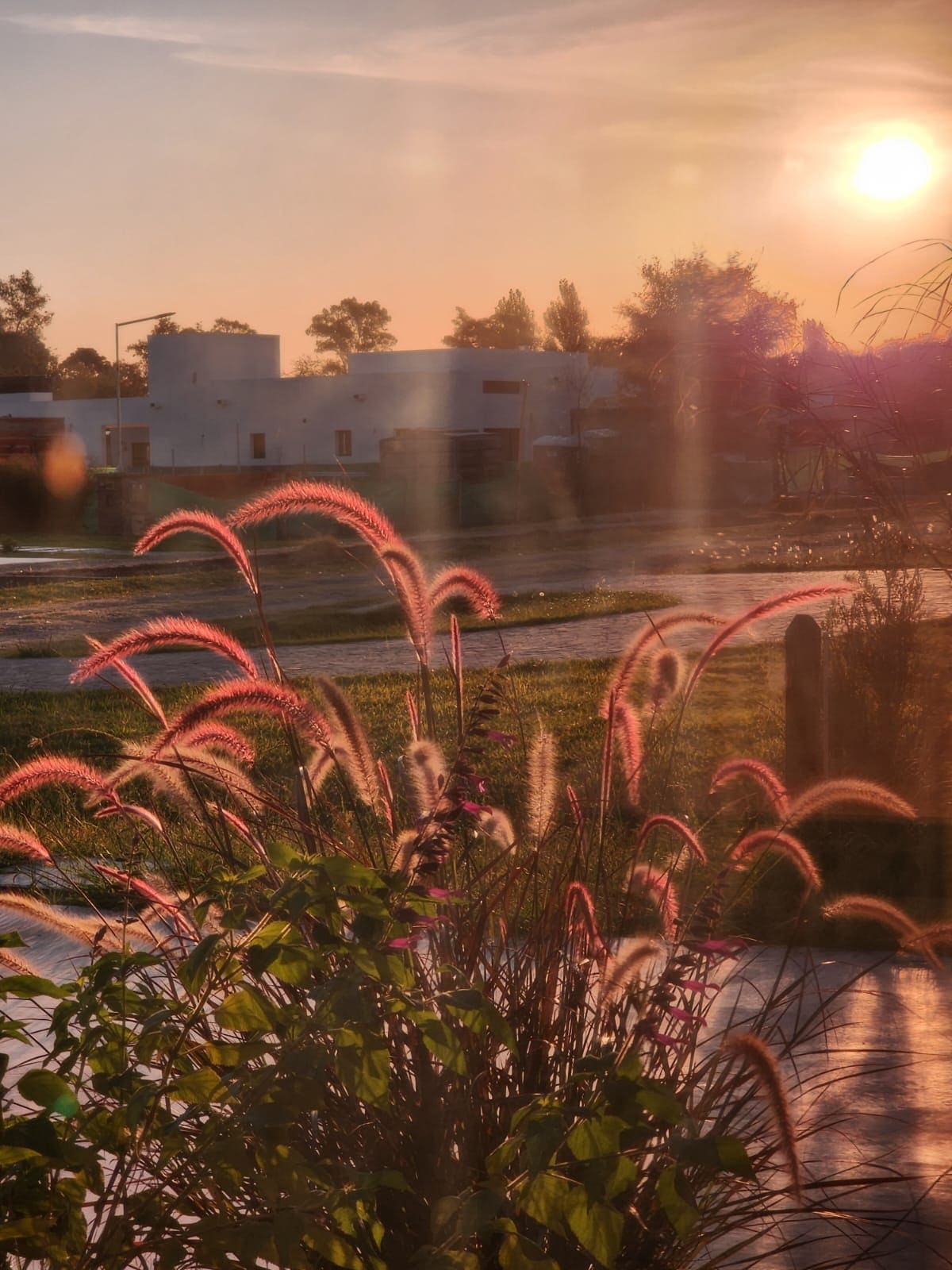 Equipo de simple&verdeok paisajismo trabajando en un jardín en Buenos Aires