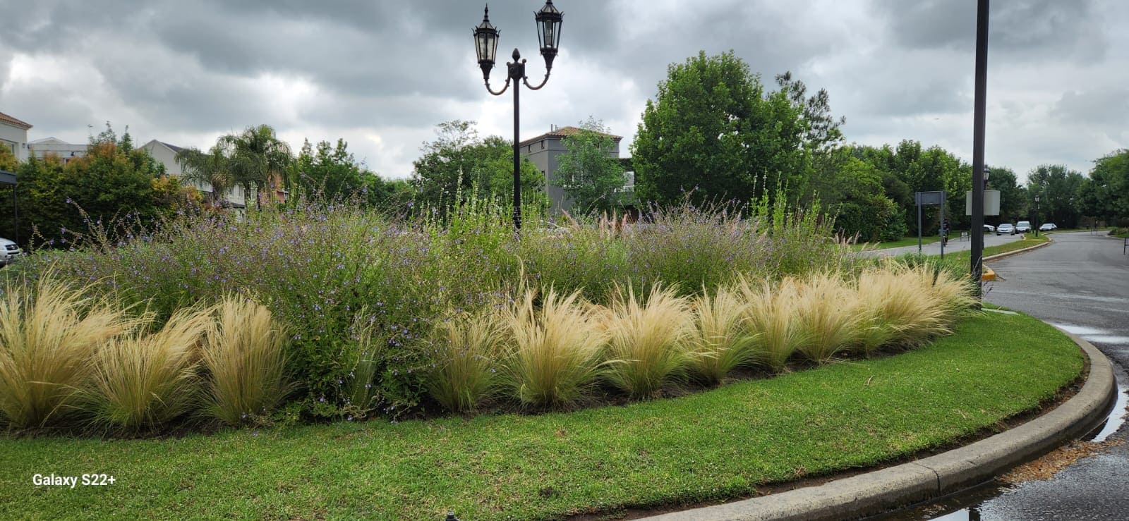 Diseño de espacio exterior con solados y vegetación en Buenos Aires
