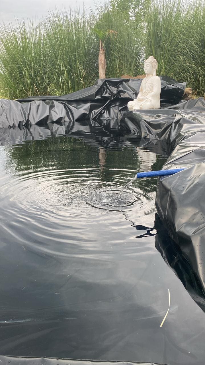 Proyecto completo de paisajismo con múltiples elementos en Buenos Aires