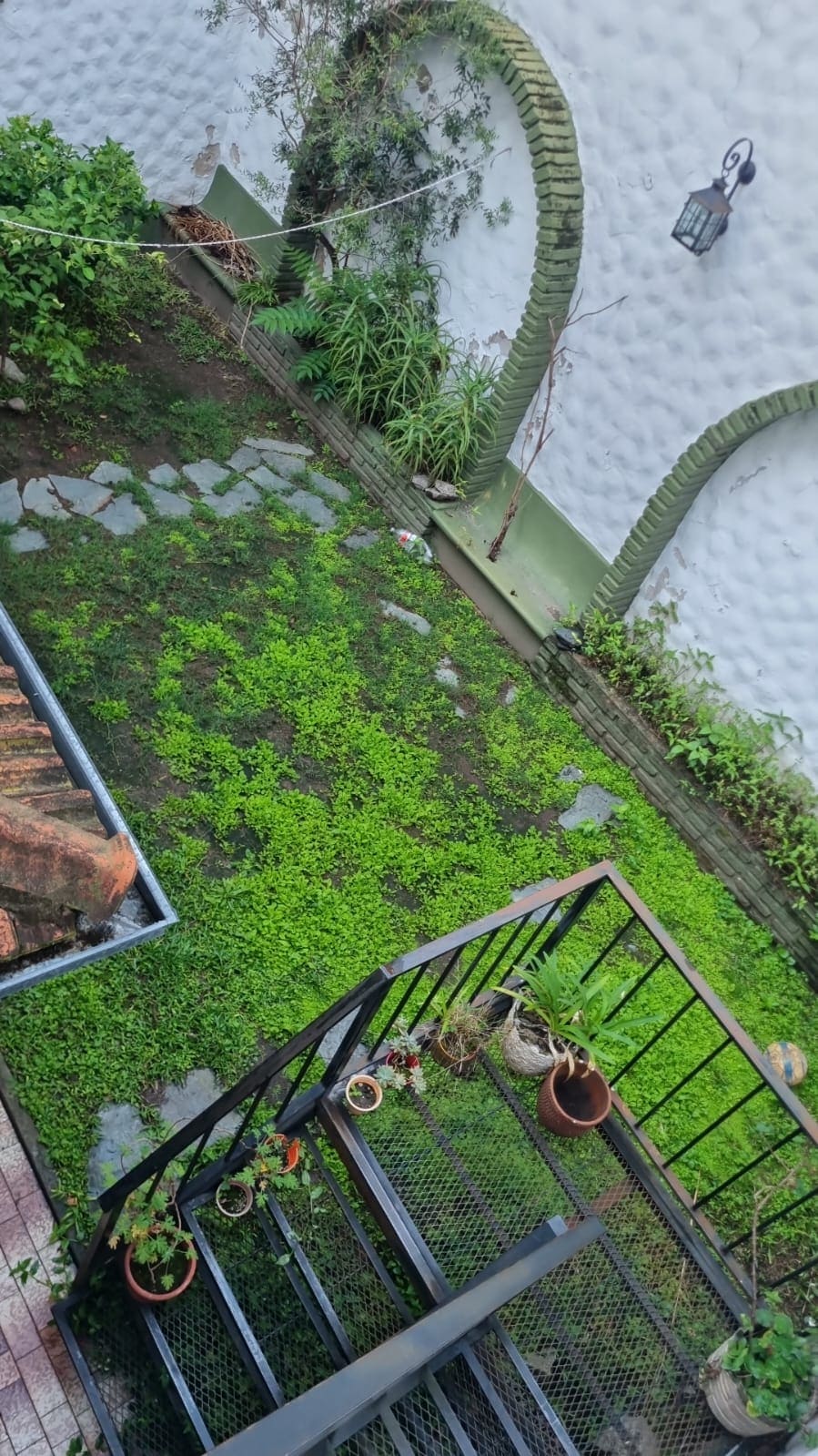 Jardín con árboles y arbustos seleccionados para el clima de Buenos Aires