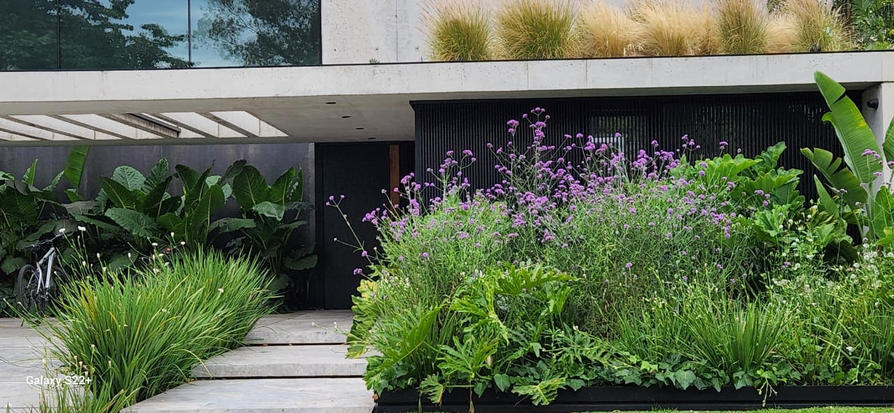 Espacio exterior decorado con vegetación y elementos de diseño