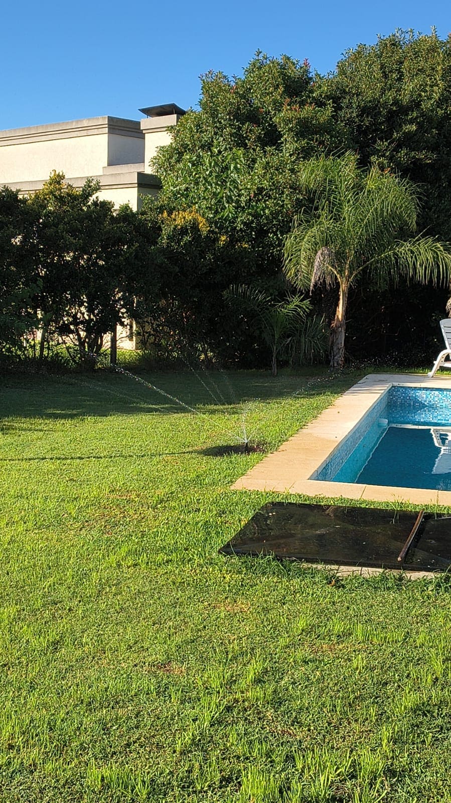 Jardín con césped natural y bordes de plantas ornamentales Buenos Aires