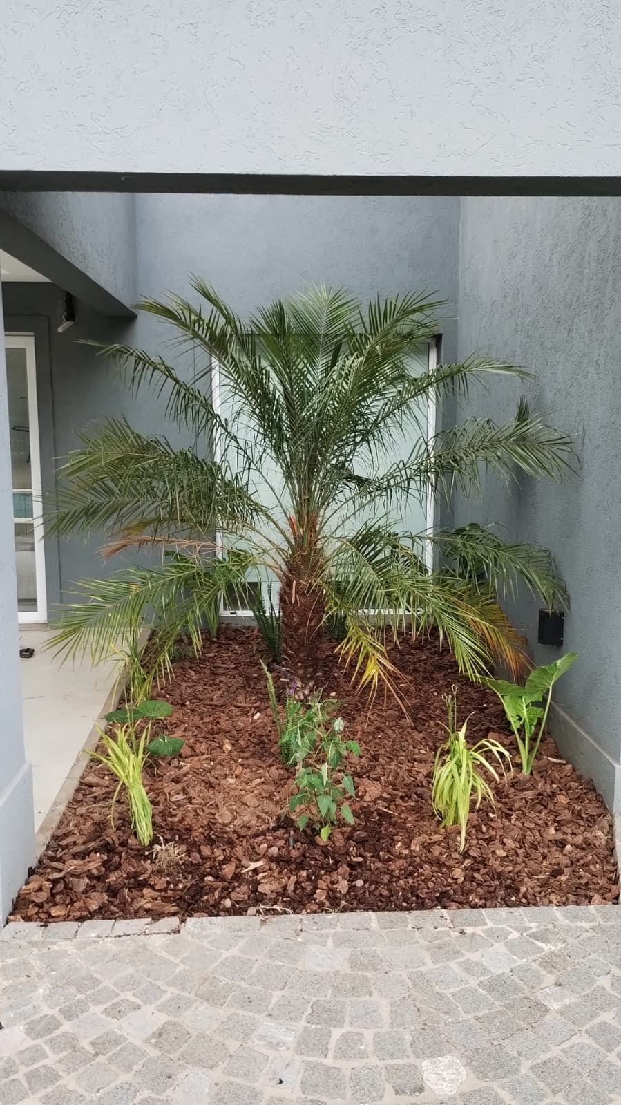 Diseño paisajístico moderno con uso de niveles y texturas en Buenos Aires