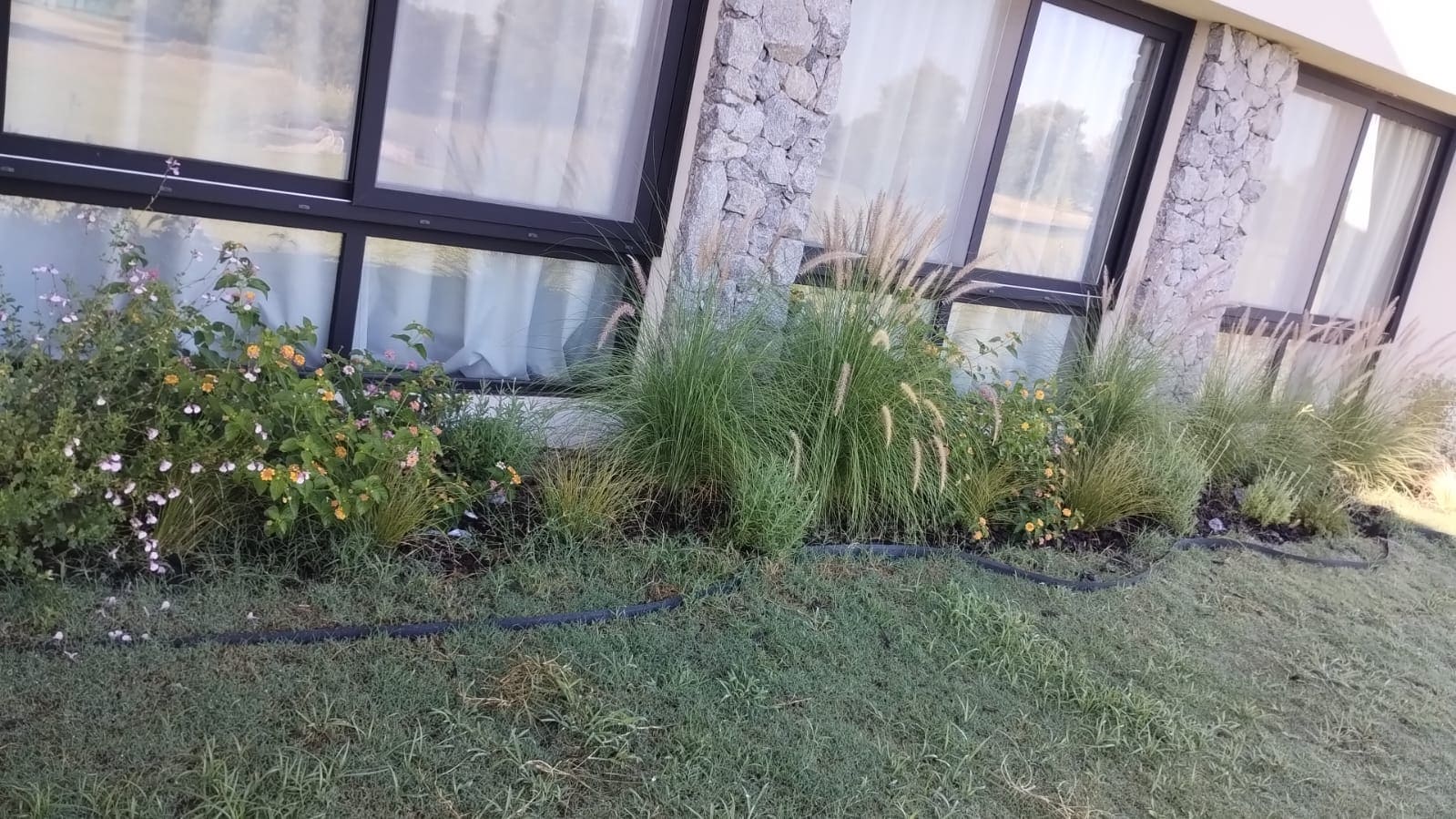 Transformación de exterior descuidado a jardín moderno en Buenos Aires