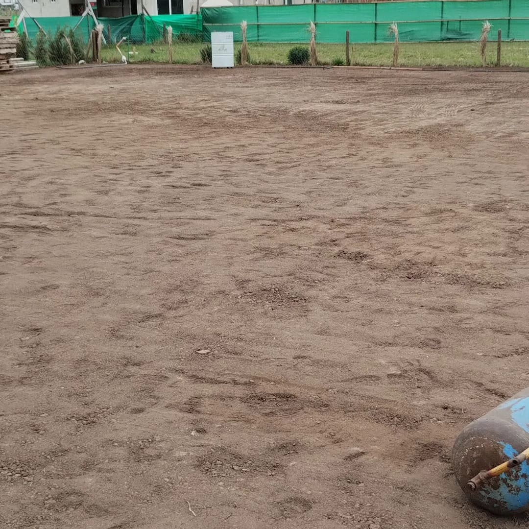 Jardín con flores de temporada y arbustos ornamentales en Buenos Aires