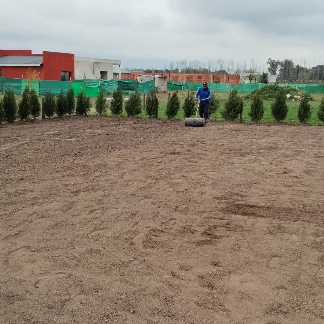 Jardín con sendero de piedra y vegetación densa en Buenos Aires
