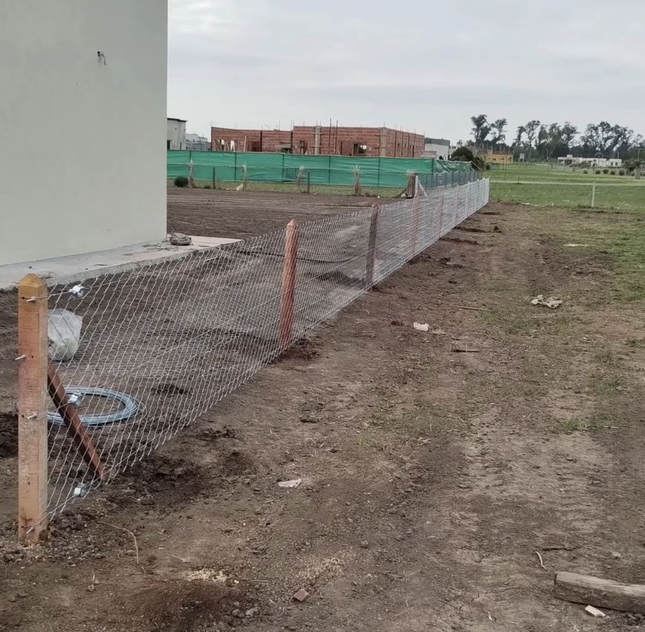 Jardín moderno con diseño contemporáneo y plantas seleccionadas