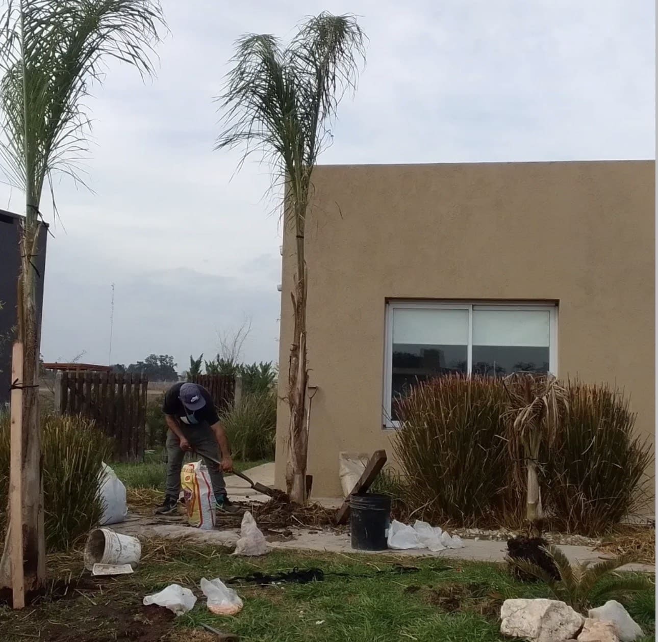 Espacio verde exterior con plantación nativa en Buenos Aires