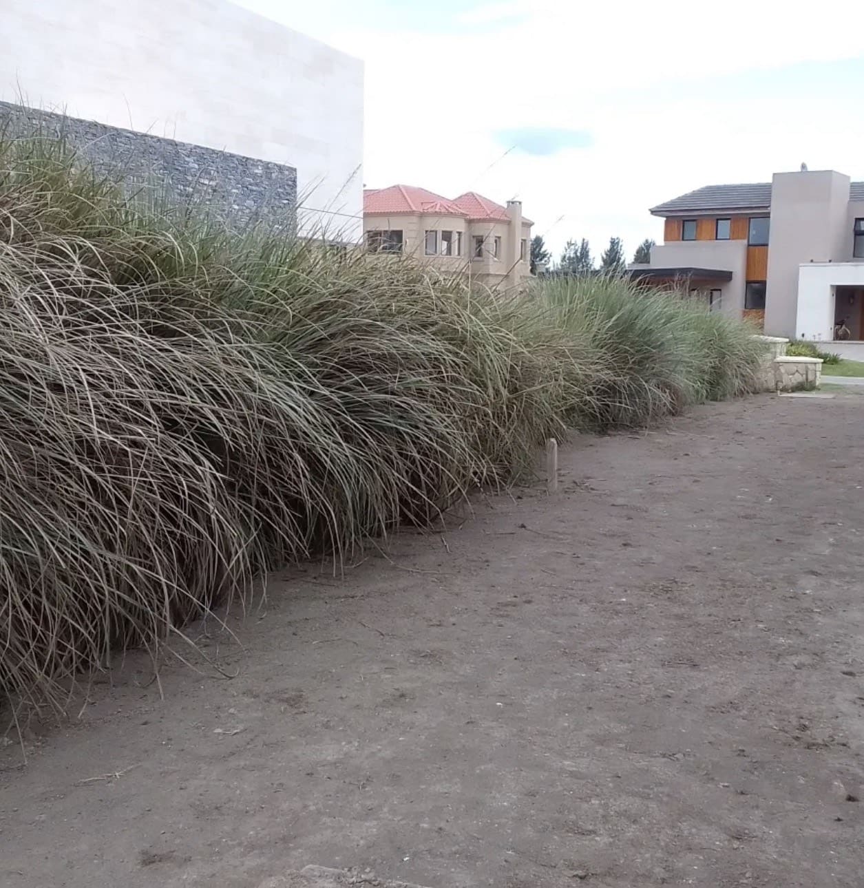 Sistema de riego automático instalado en jardín residencial Buenos Aires