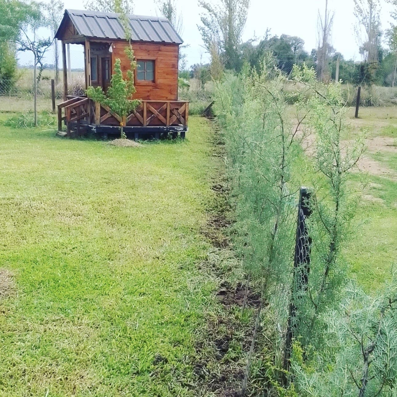 Jardín con iluminación exterior LED nocturna diseñado por simple&verdeok